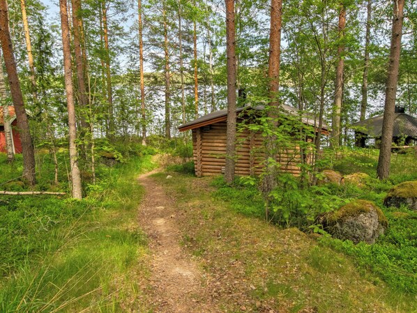 A forested area with a dirt path leading to a small wooden cabin.