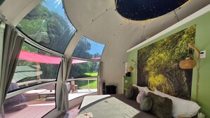 A bedroom with a large bed, a view of a garden through a window, and a ceiling with a star pattern.