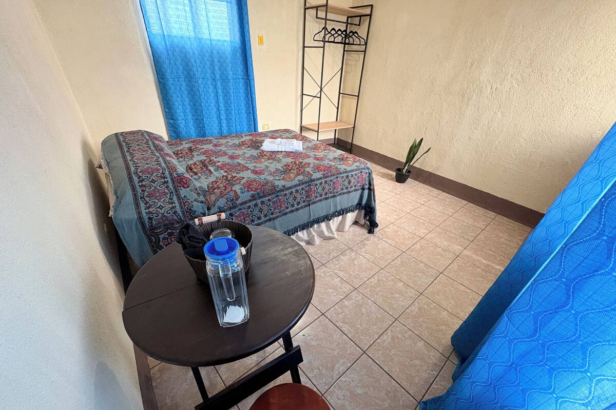 Ein Schlafzimmer mit einem Bett, einem kleinen Tisch mit einer Wasserflasche, einem Stuhl, einer Topfpflanze und einem blauen Vorhang.