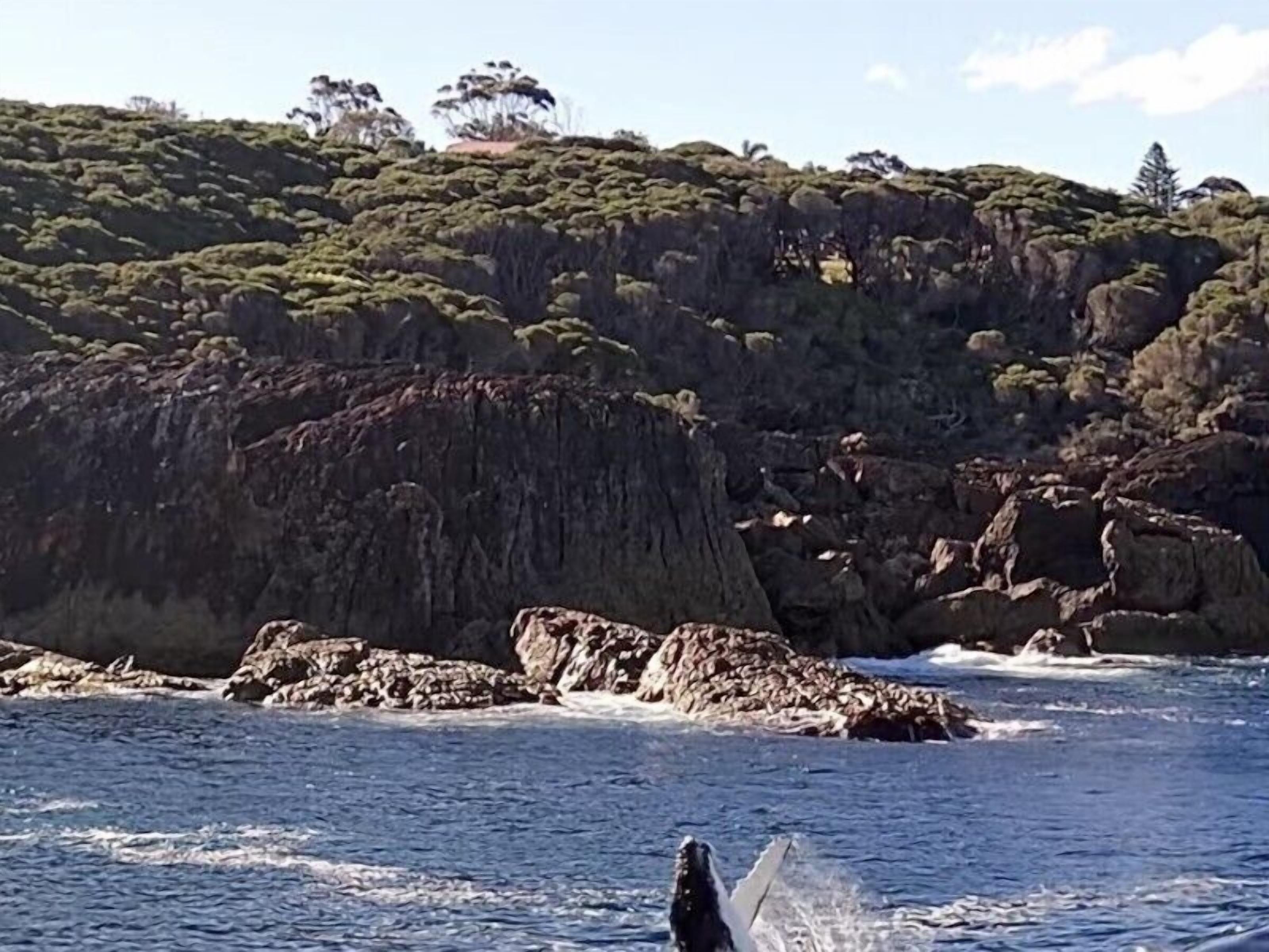 A coastal scene with rocky cliffs and a body of water.