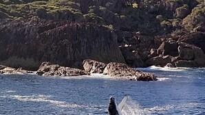 Paesaggio costiero con scogliere rocciose e un tratto d'acqua.