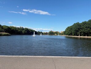 Un lago tranquilo con fuentes, rodeado de árboles y edificios.