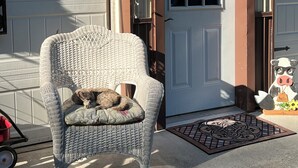 A wicker chair with a cushion outside a house with a white door and a mailbox.