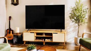 Televisio, stereot