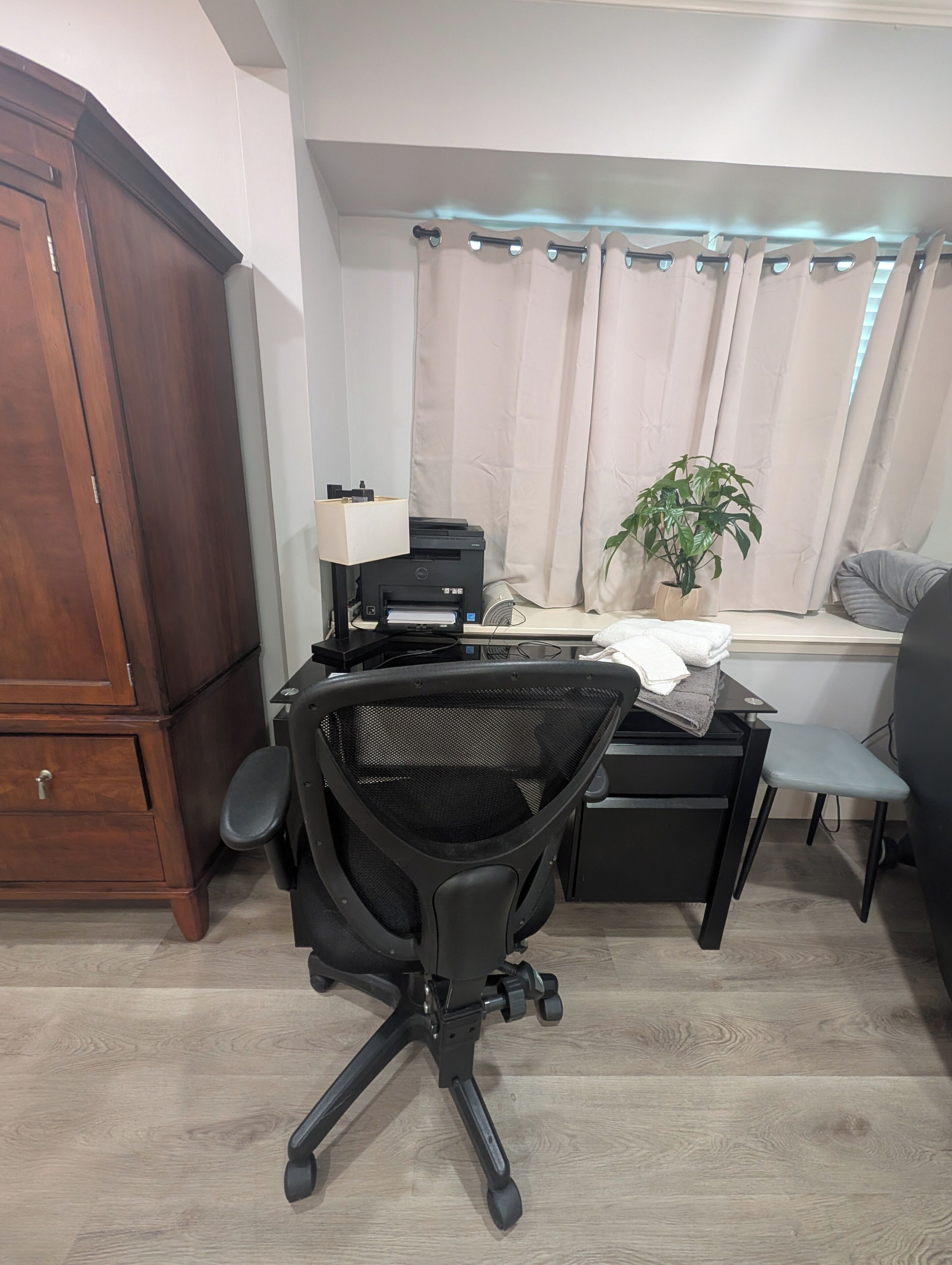 Ein Home-Office-Arbeitsplatz mit Schreibtisch, Stuhl, Drucker und einer Topfpflanze.
