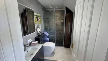 Shower, hair dryer, towels