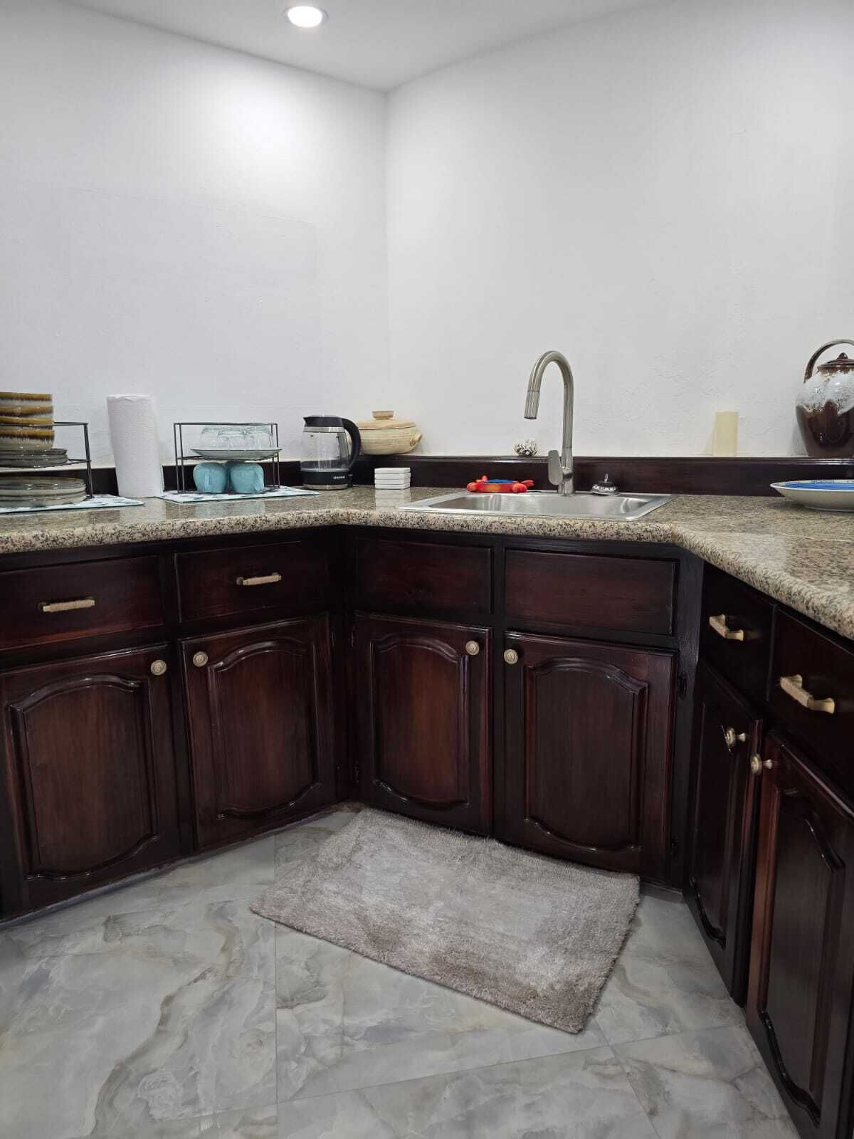 A corner kitchen with dark wood cabinets, a granite countertop, a stainless steel sink, and a small rug.