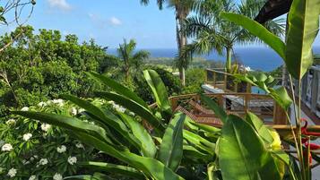 A lush garden with tropical plants, a palm tree, and a view of the ocean.