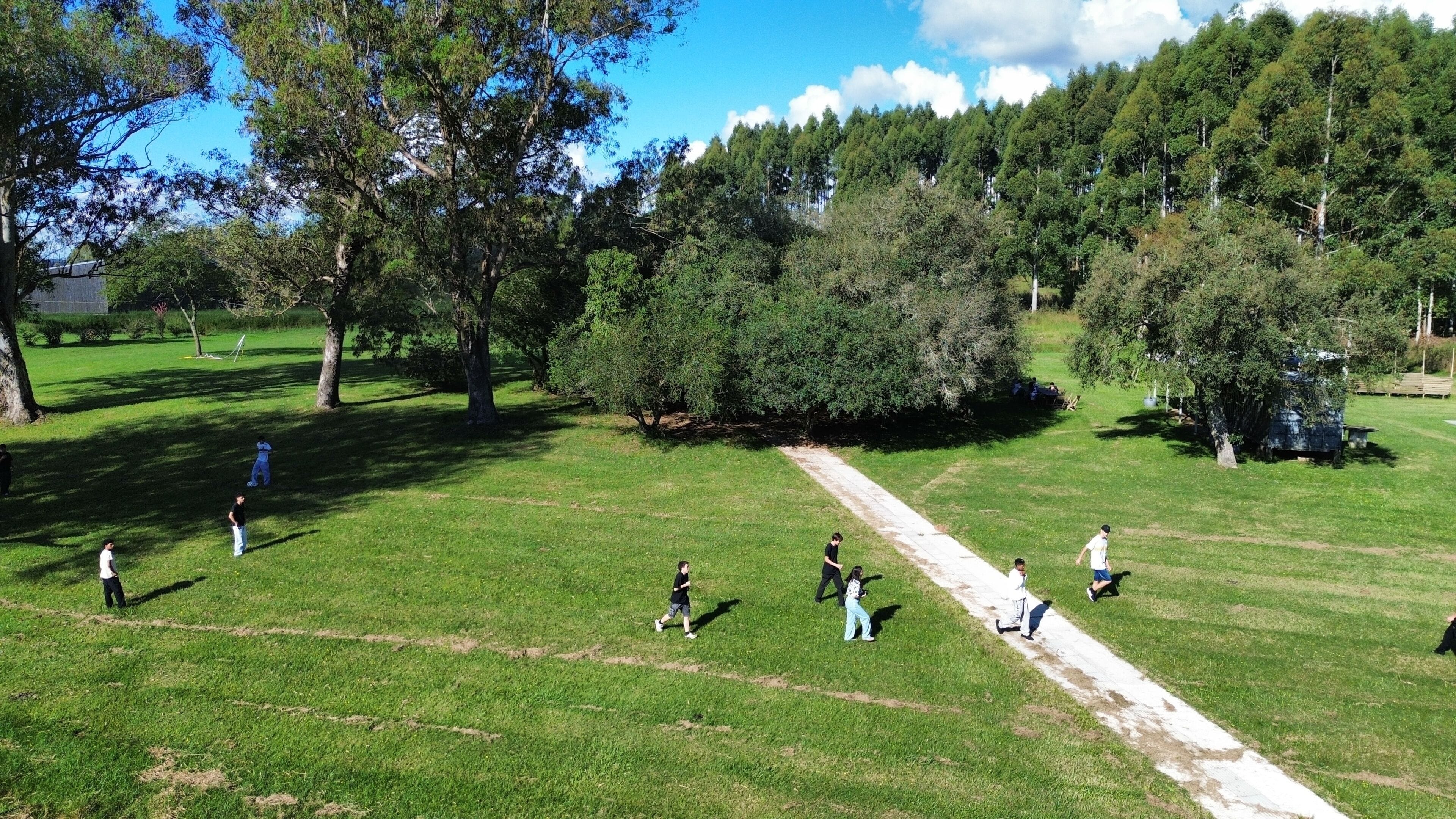 Um parque com trilha de terra, grama verde e árvores.