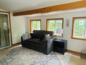 Living area - Cozy private 2-bedroom home in Hector, close to wineries, breweries and hiking. (Hector)