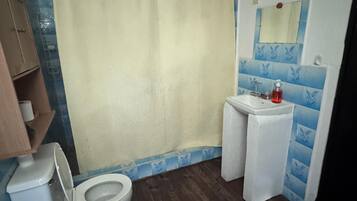 Serviettes fournies, papier de toilette