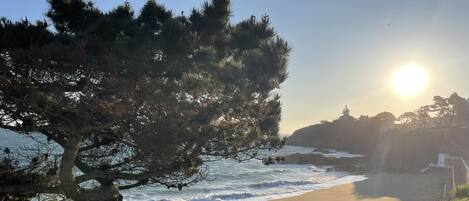 Plage