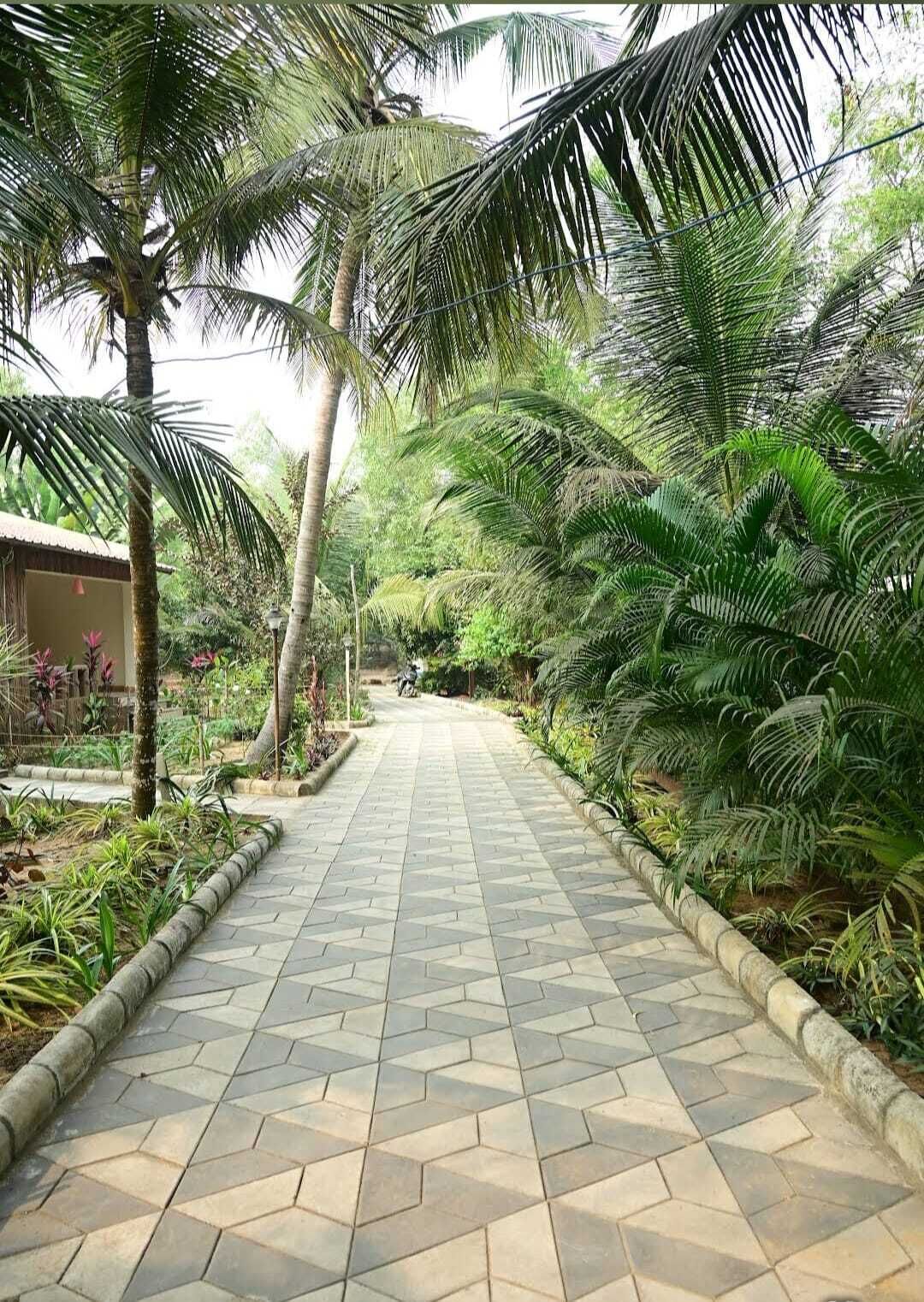 A paved pathway lined with palm trees and various plants, leading to a building with a tiled roof.