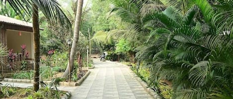 A paved pathway lined with palm trees and various plants, leading to a building with a tiled roof.