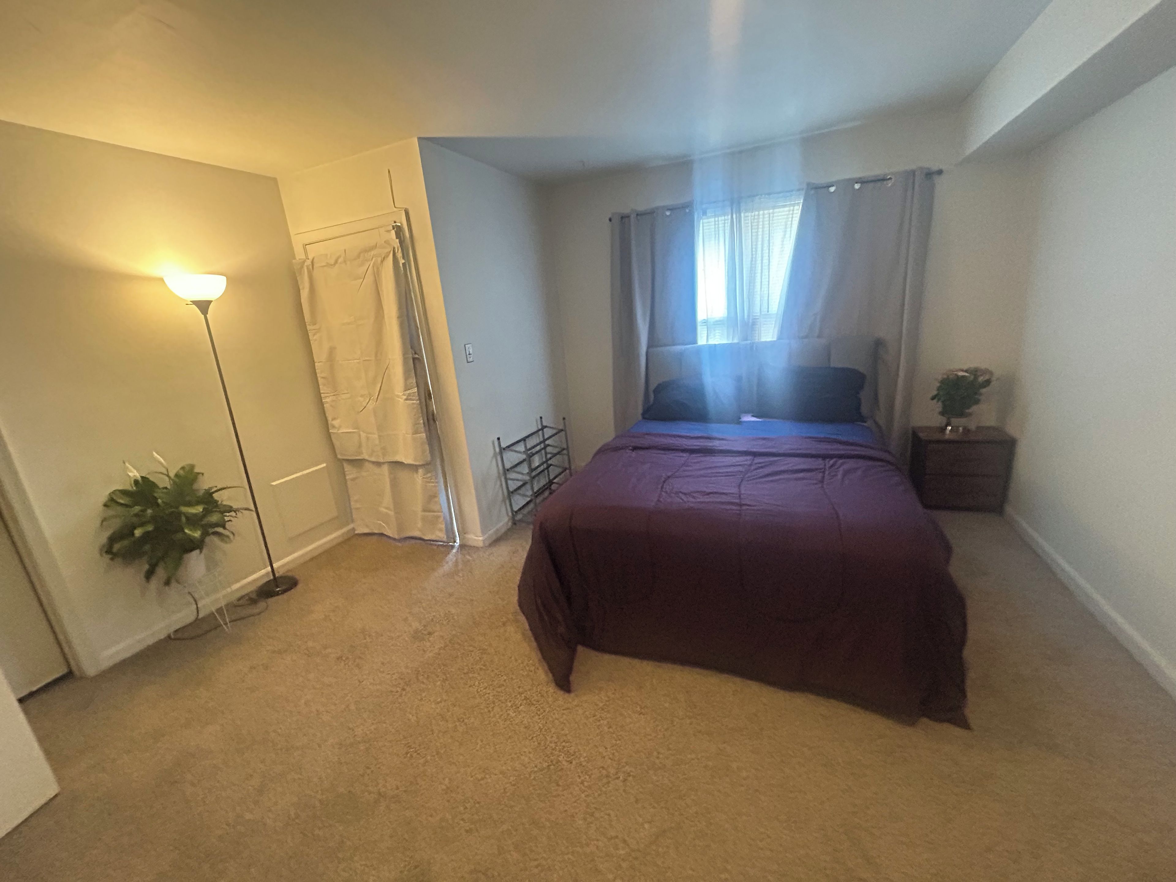 Un dormitorio con cama, mesita de noche, lámpara de pie, ventana con cortinas y una planta en maceta.