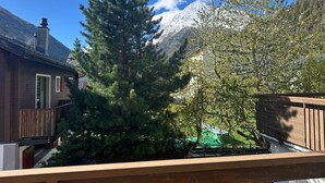 A residential area with a house, a wooden deck, a large evergreen tree, and a mountain in the background. - Haus Petunia by Interhome (Saas-Grund)