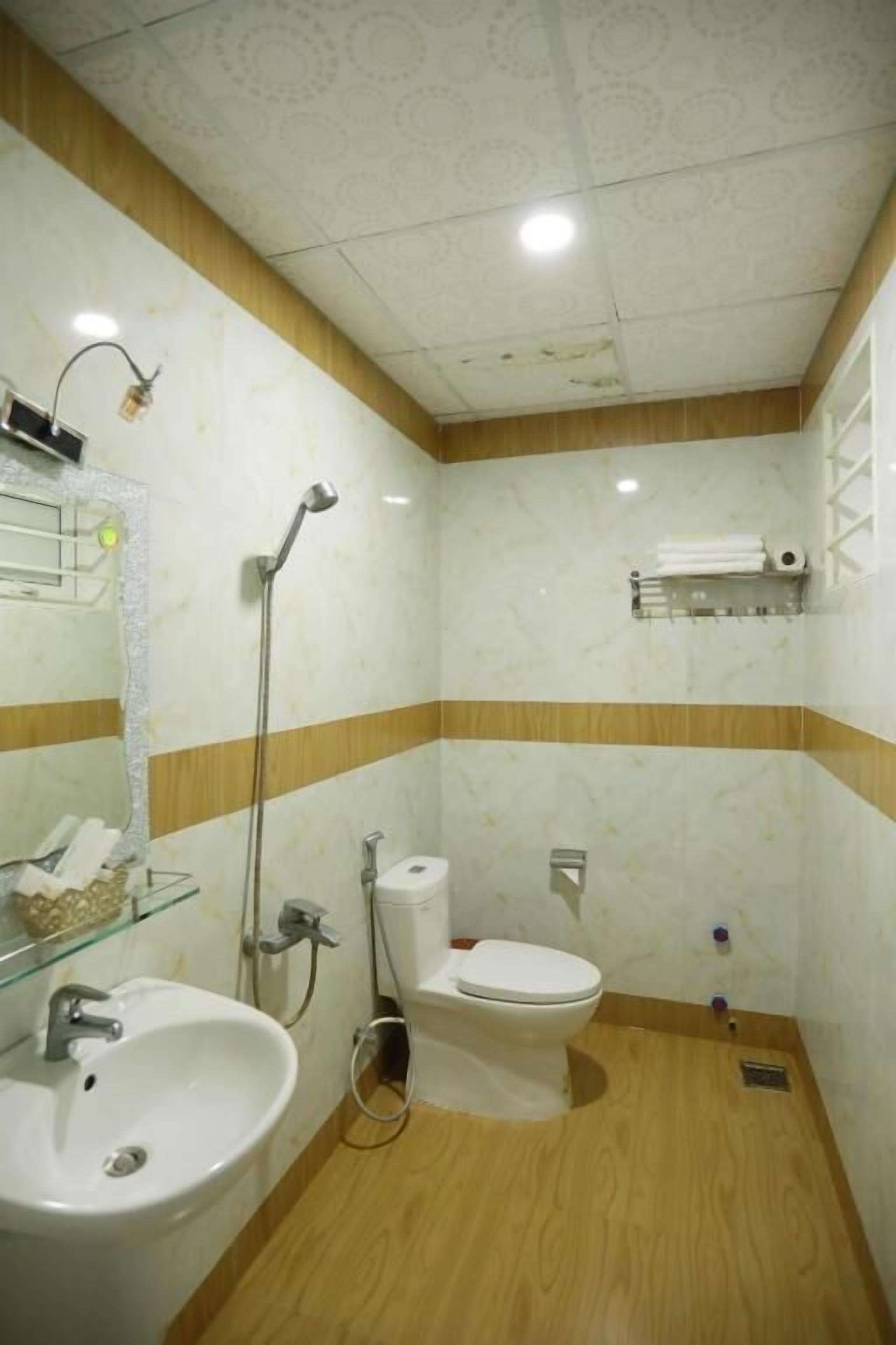 Une salle de bain avec un lavabo, des toilettes et une douche.