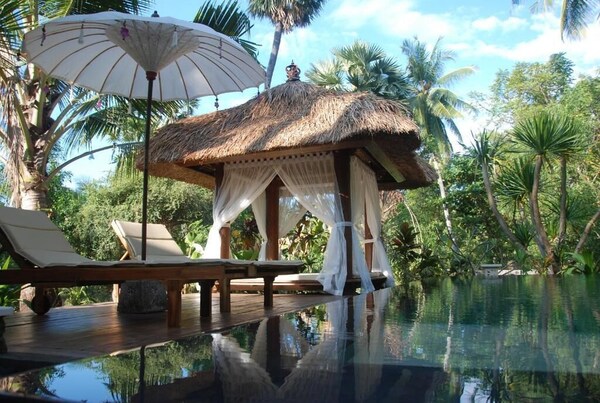 Octopus Villas - Kintamani
