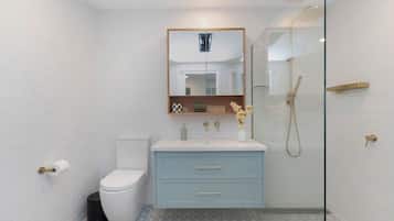 Shower, hair dryer, towels, soap