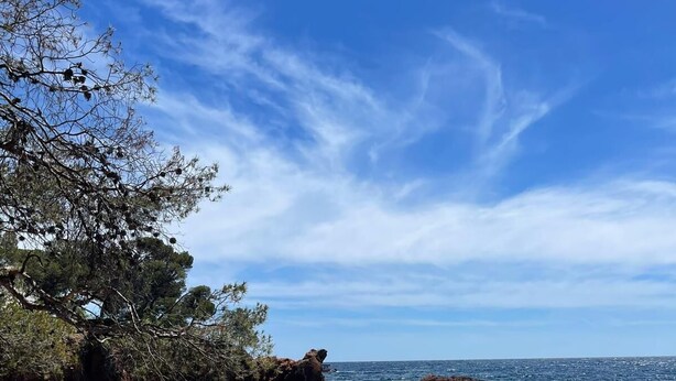Ein Strand mit klarem Wasser, Felsen und einem Baum.