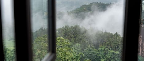 A view through a window of a lush, green landscape with hills and trees, partially obscured by mist.