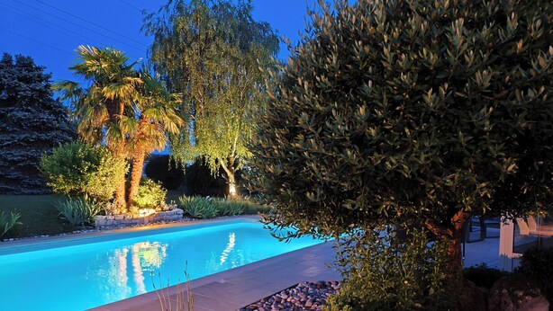 A swimming pool surrounded by various plants and trees.