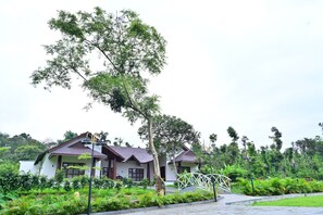 บริเวณภายนอก