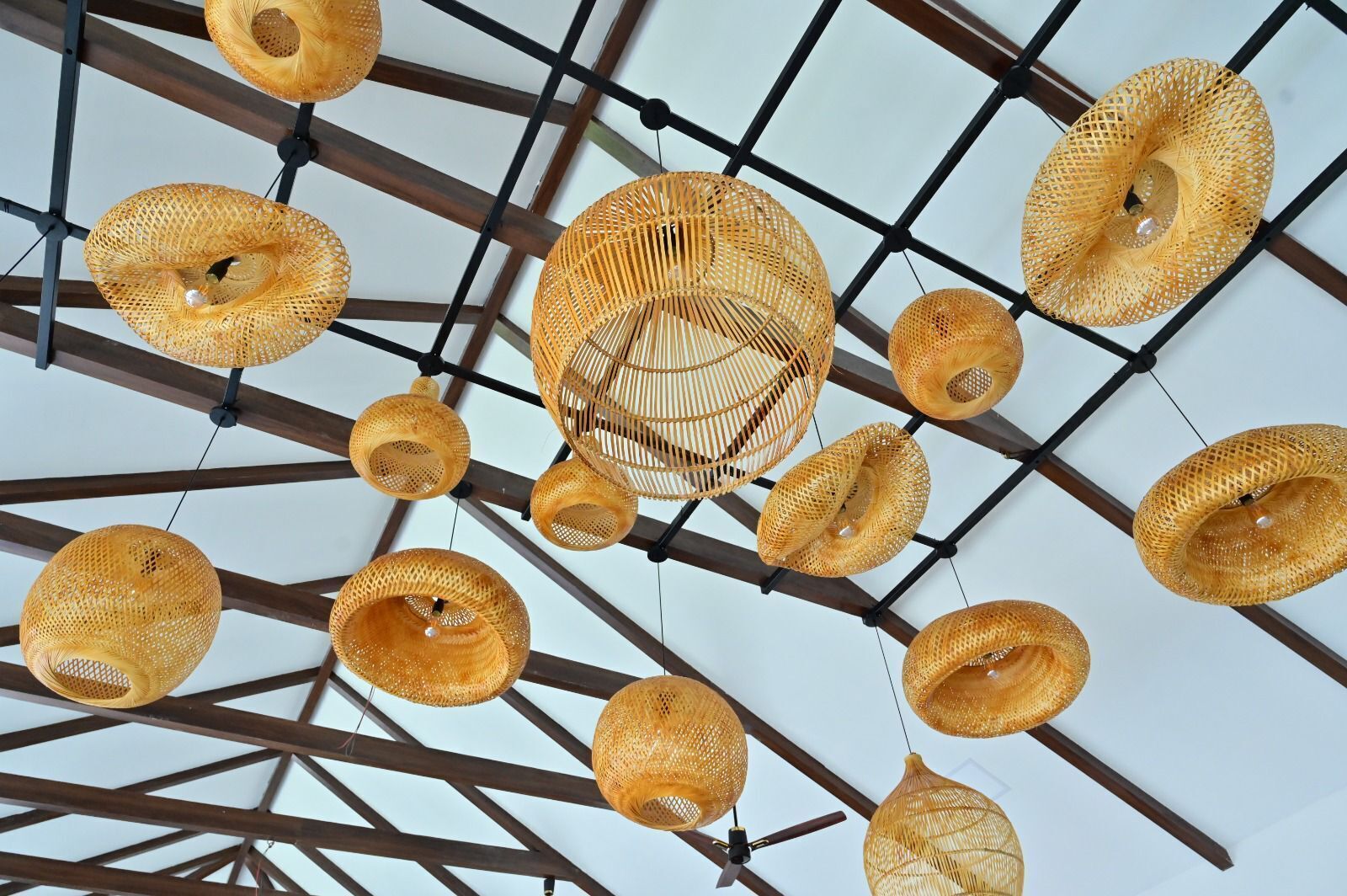 Un plafond orné de plusieurs lampes en rotin tressé.