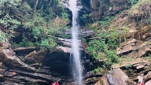 A waterfall surrounded by lush greenery and people swimming in the water below.
