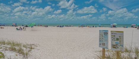 Playa en los alrededores