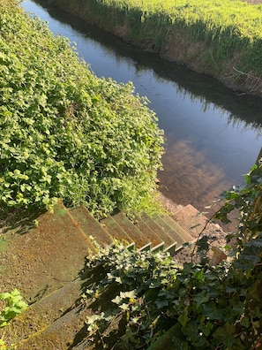 Ufer mit dichter Vegetation und einer Betonkonstruktion.