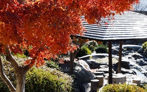 Property grounds - Ryoso SUIUNTEI (Asakura)