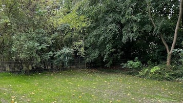 Ein grasbewachsener Außenbereich mit Bäumen und einem Zaun.