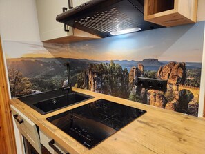 Una cocina con dos hornillas de inducción negras, una encimera de madera y un salpicadero con un paisaje panorámico.