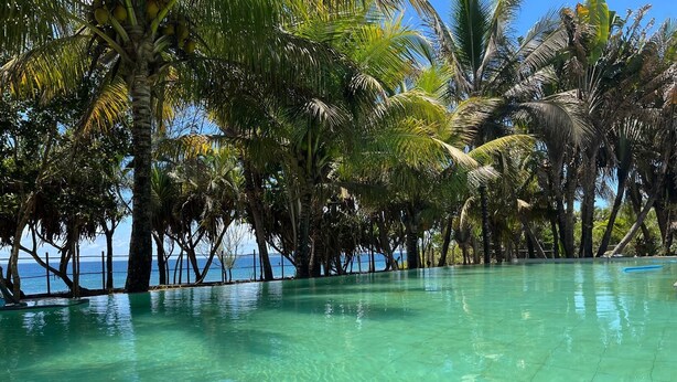 A clear pool surrounded by palm trees with a view of the ocean. - FAMILY BUNGALOW: E-FRAME HOUSE Facing the Ocean (Toamasina)