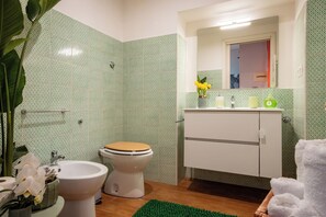 Chuveiro, secador de cabelo, bidê, toalhas de banho