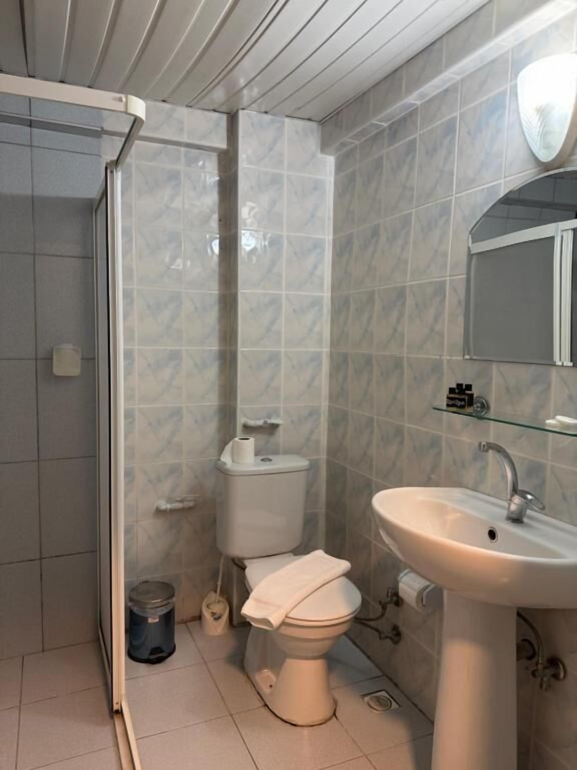 A bathroom with a shower, toilet, sink, and a mirror.