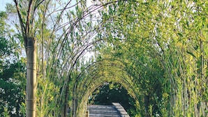 A bamboo archway leading to a wooden structure in a grassy area.