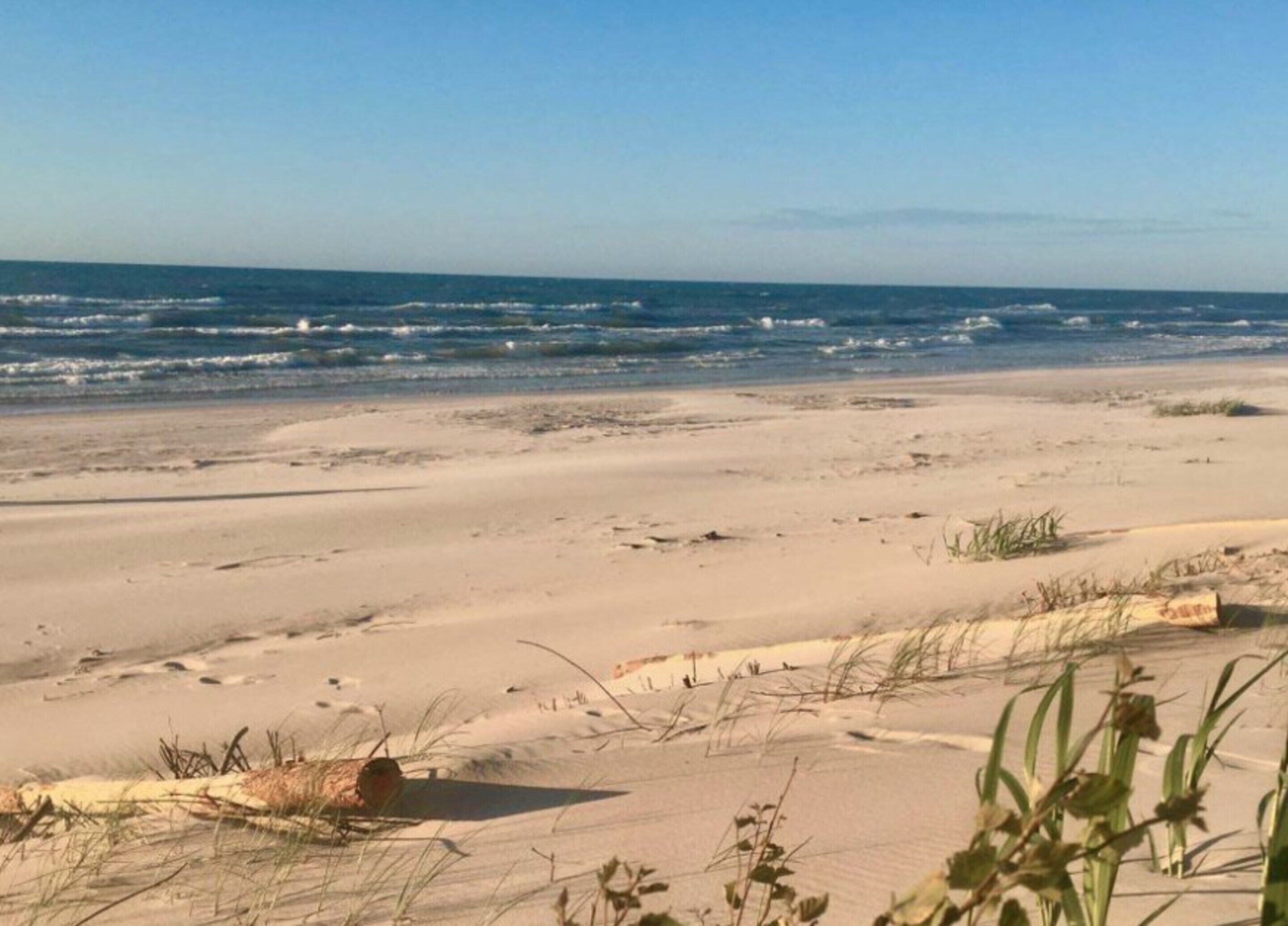 A beach with sand, grass, and the ocean.