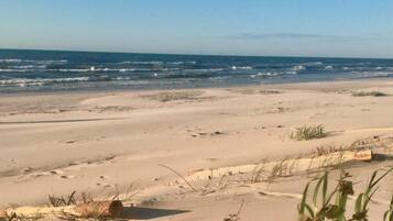 A beach with sand, grass, and the ocean.
