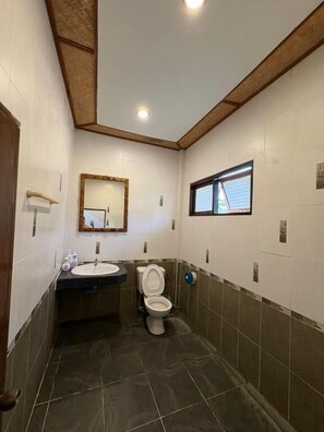 Shower, free toiletries, hair dryer, towels