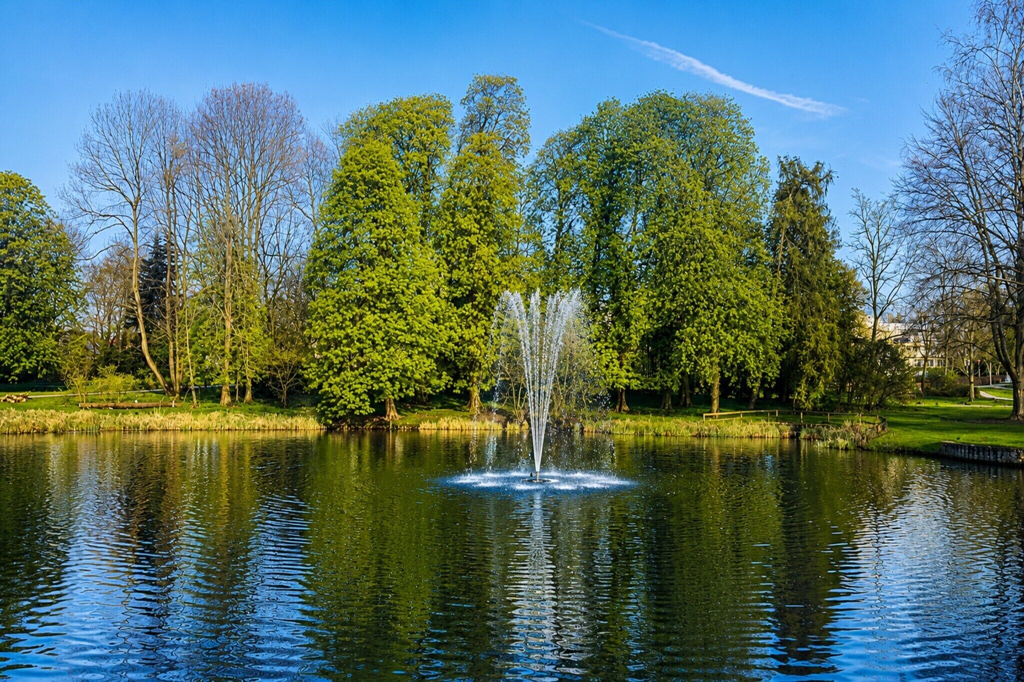 Ein ruhiger Park mit einem Brunnen, umgeben von üppigen Bäumen und einem stillen See.