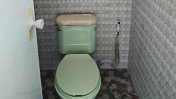 Un inodoro con asiento y tapa verdes, un tirador de descarga blanco y una pared con diseño hexagonal.