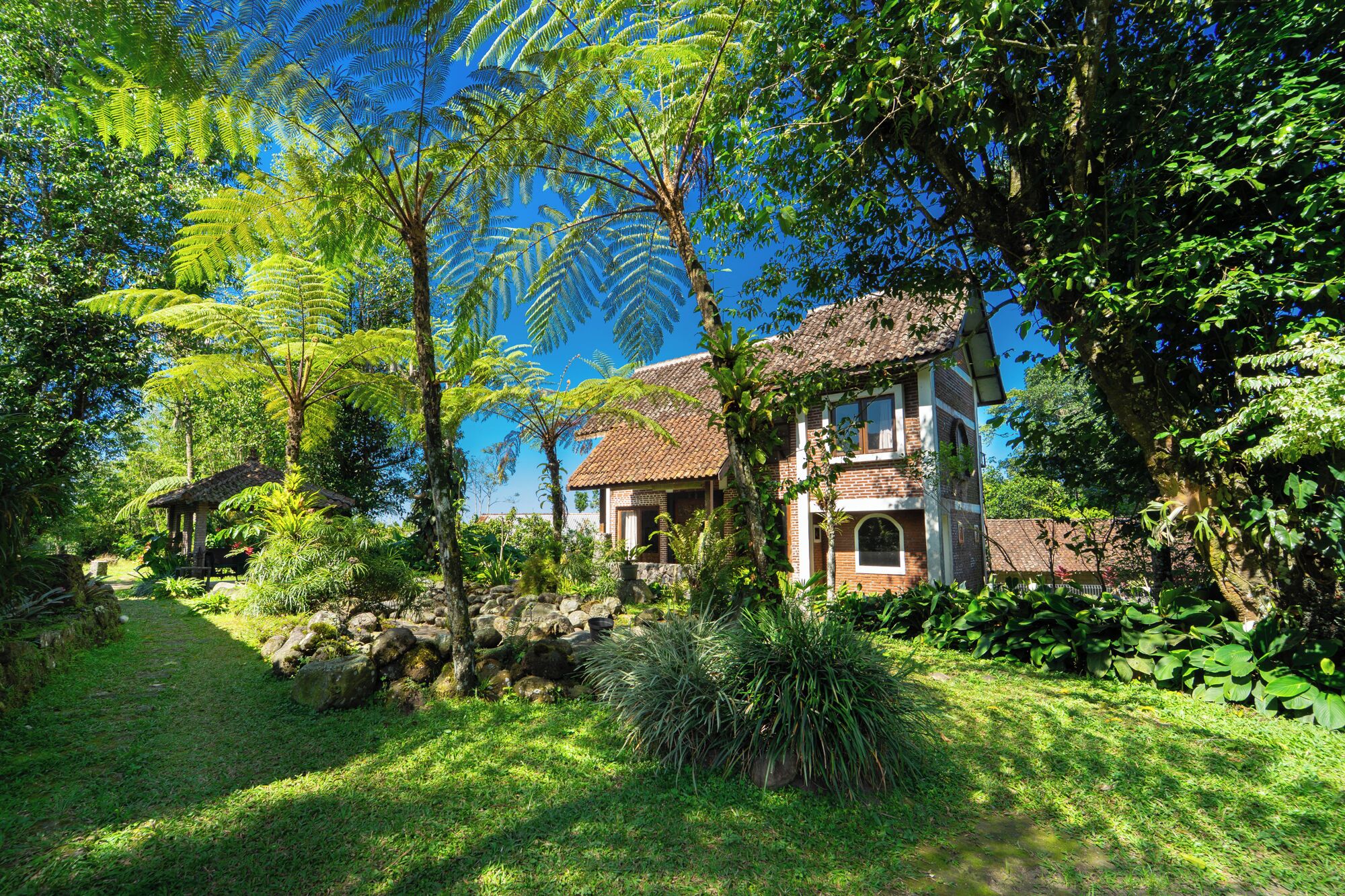 Deluxe Villa | Garden view