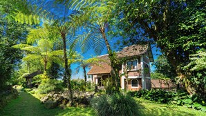 Une maison entourée d’une végétation luxuriante, sous un ciel bleu et dégagé.