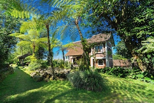 Vista al jardín