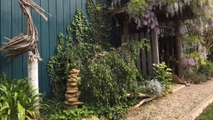 Un jardin rustique, agrémenté d’une clôture en bois, d’un empilement de pierres et d’une glycine retombante.