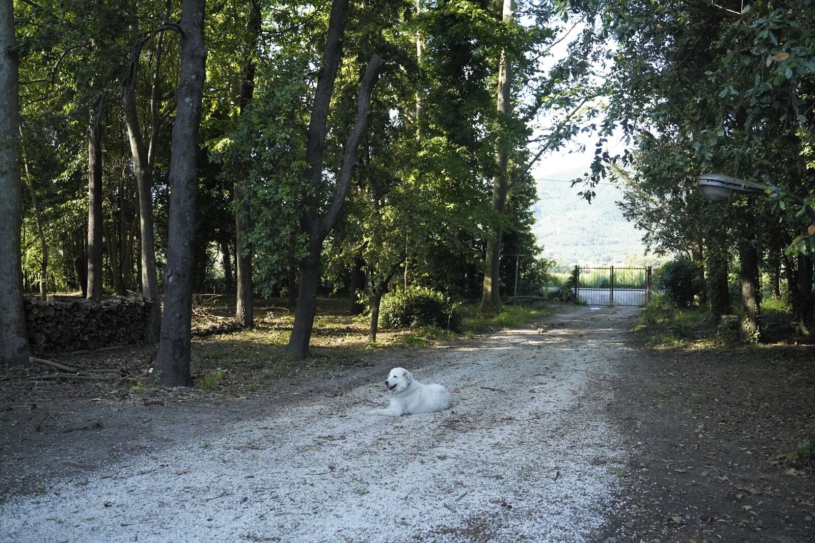 Parco della struttura