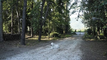 Parco della struttura