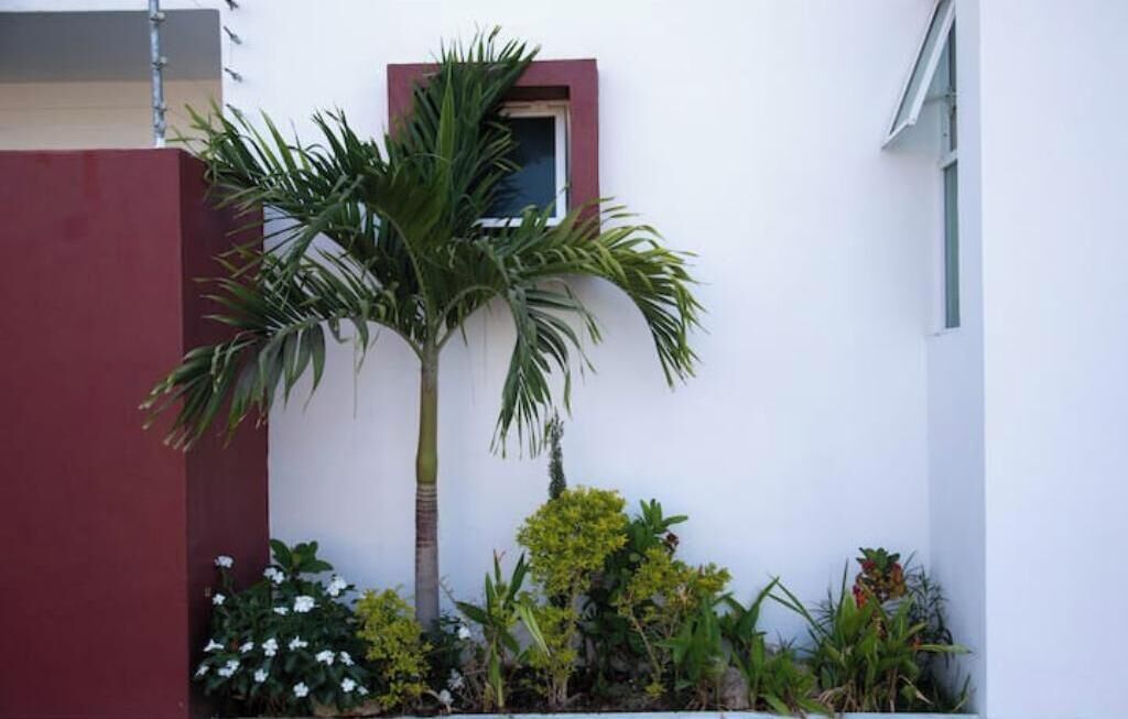 Detalle exterior
